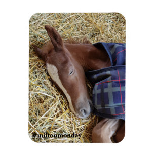 Imán Milton Lunes Magnet