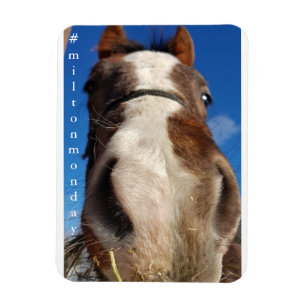 Imán Milton Lunes Magnet