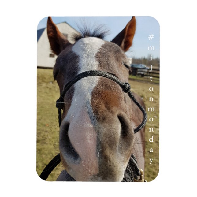 Imán Milton Monday (Vertical)