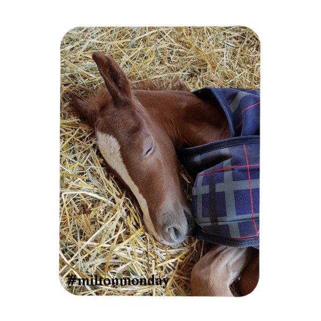 Imán Milton Monday Magnet (Vertical)