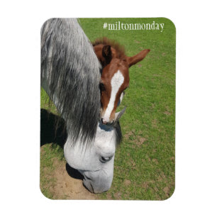 Imán Milton Monday Magnet