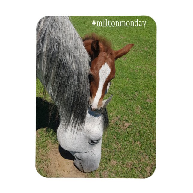 Imán Milton Monday Magnet (Vertical)