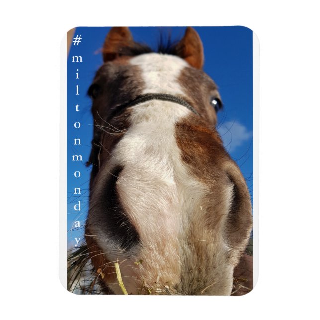 Imán Milton Monday Magnet (Vertical)