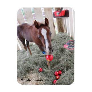 Imán Milton Monday Magnet