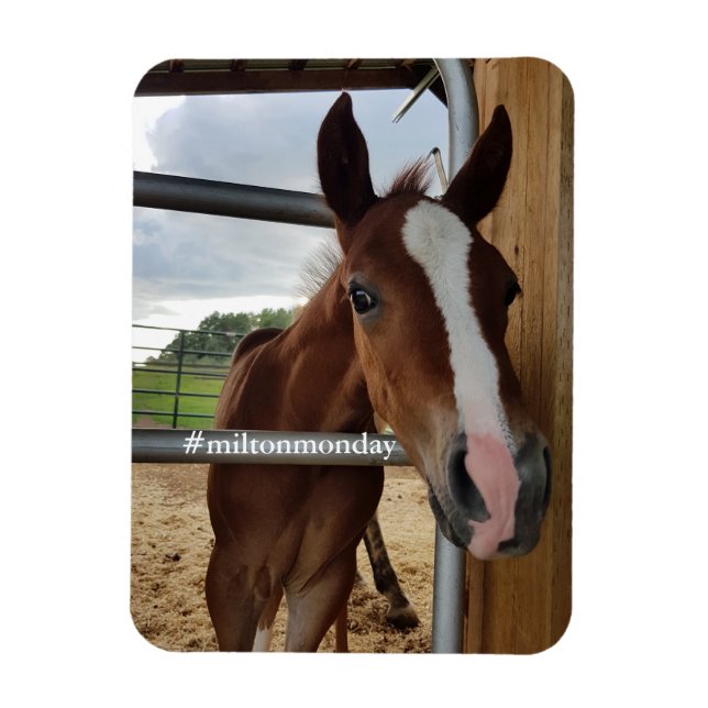 Imán Milton Monday Magnet (Vertical)