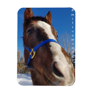 Imán Milton Monday Magnet