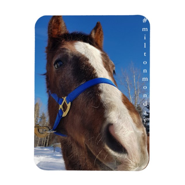 Imán Milton Monday Magnet (Vertical)