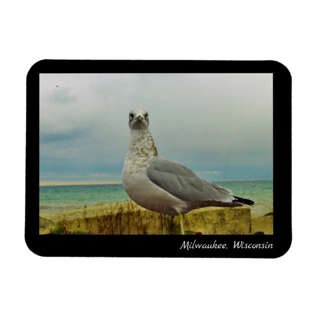 Imán Milwaukee, Wisconsin (Horizontal)