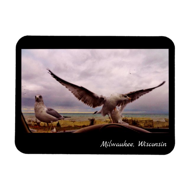 Imán Milwaukee, Wisconsin (Horizontal)