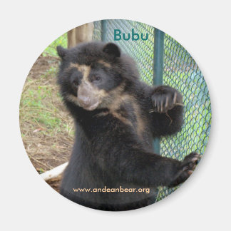 Imán Mimán Bubu Andean Bear