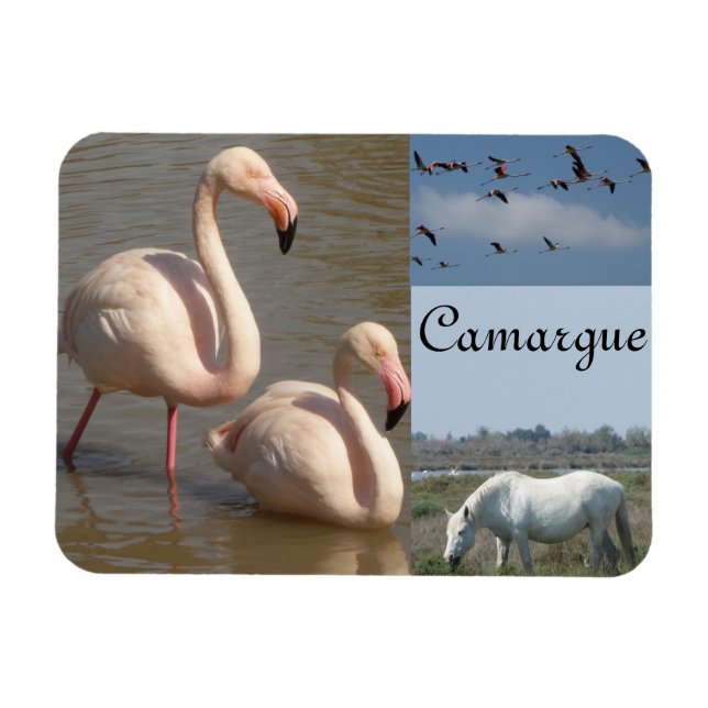 Imán Mimán Camargue (Horizontal)