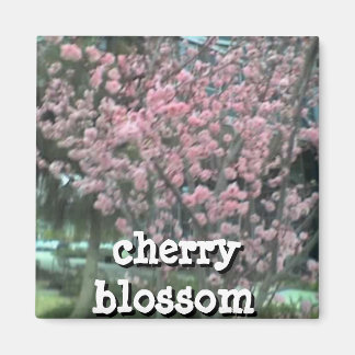 Imán Mimán cuadrado