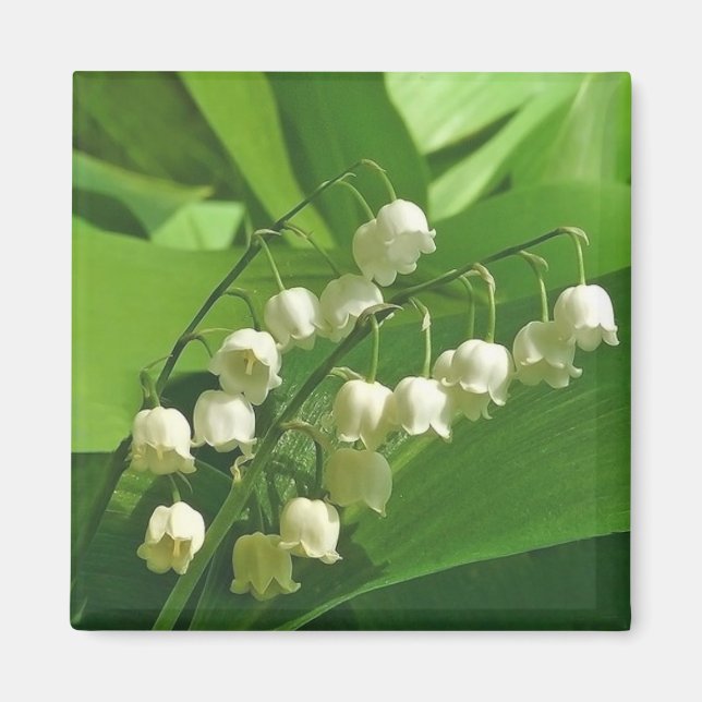 Imán Mimán cuadrado (Frente)