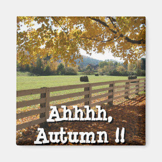 Imán Mimán cuadrado