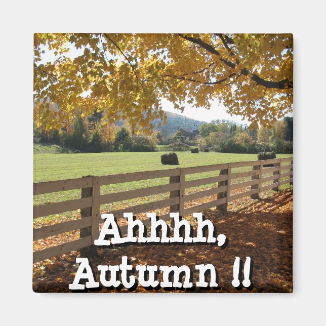 Imán Mimán cuadrado (Frente)