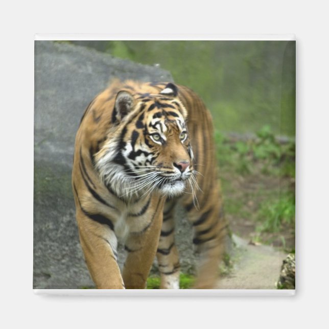 Imán Mimán cuadrado (Frente)