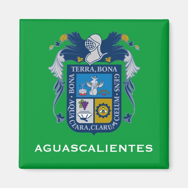 Imán Mimán de Armas de Aguascalientes (Frente)