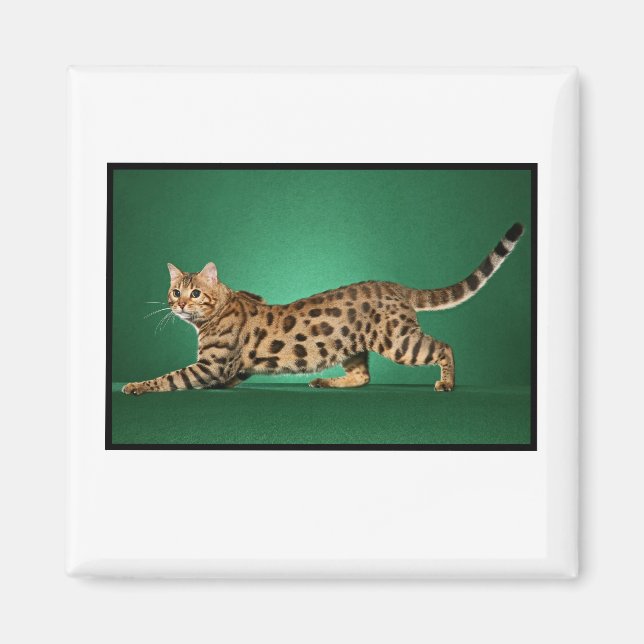 Imán Mimán de Bengala visto por Brown (Frente)