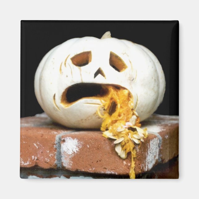 Imán Mimán de calabaza enferma - "Barfy" (Frente)