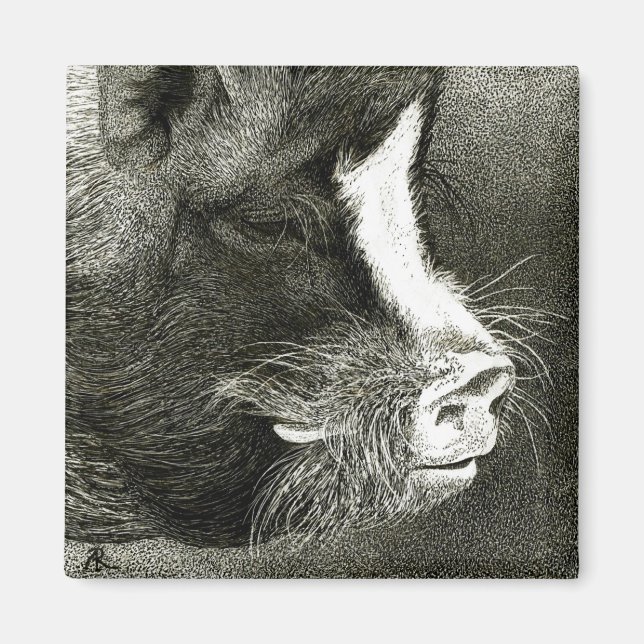 Imán Mimán de cerdo con vientre en pot (Frente)