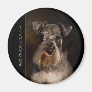 Imán Mimán de Nevera Schnauzer en miniatura
