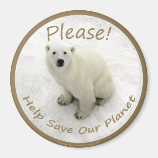 Imán Mimán de oso polar