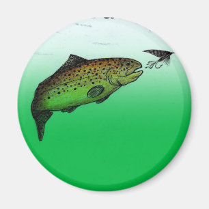 Imán Mimán de pesca de trucha