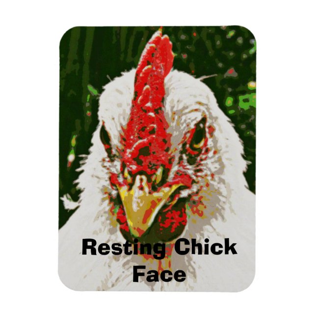 Imán Mimán de pollo (Vertical)