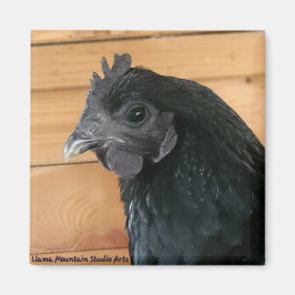 Imán Mimán de pollo #3 Rambler meridional