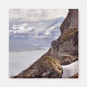 Imán Mimán de Rock Ártico