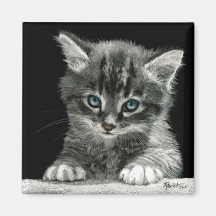 Imán Mimán Gatito - "Futuro Brillante"