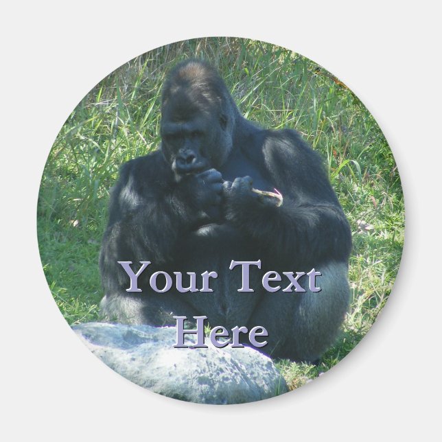 Imán Mimán Macaw (Frente)