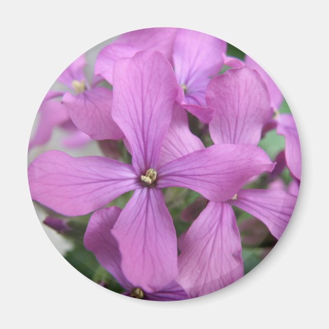 Imán Mimán Purple Wildflowers (Frente)