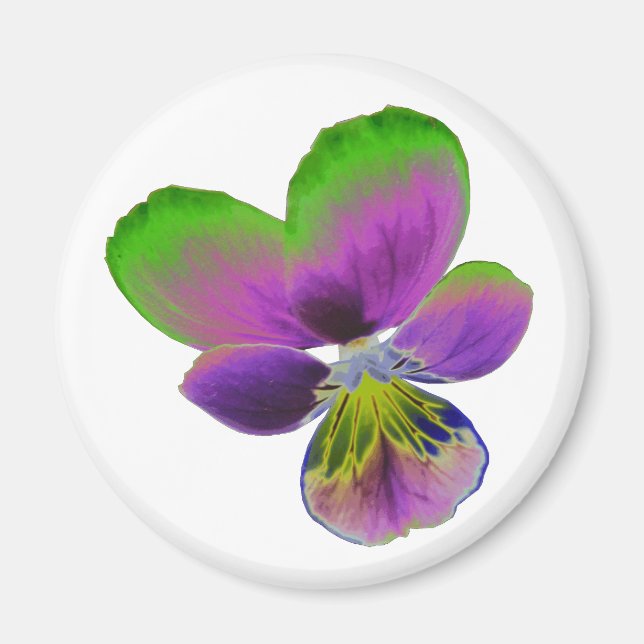 Imán Mimán Púrpura y Pansy Verde (Frente)