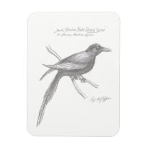 Mimán Sapier Violeta del sur de Tirnishan