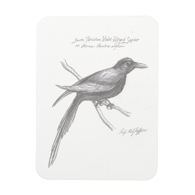 Imán Mimán Sapier Violeta del sur de Tirnishan (Vertical)