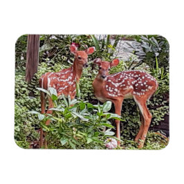 Imán Mimán Twin Fawns