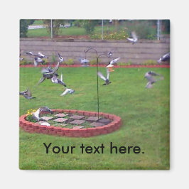 Imán Mimanes de yard para alimentadores de aves de dese