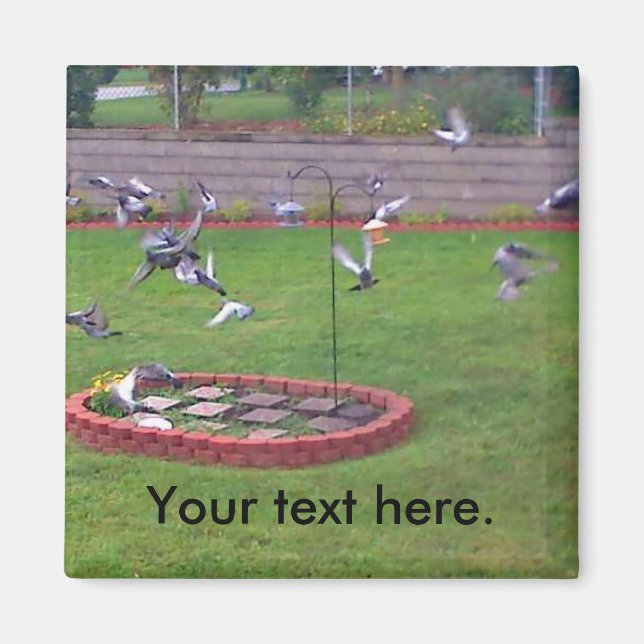 Imán Mimanes de yard para alimentadores de aves de dese (Frente)