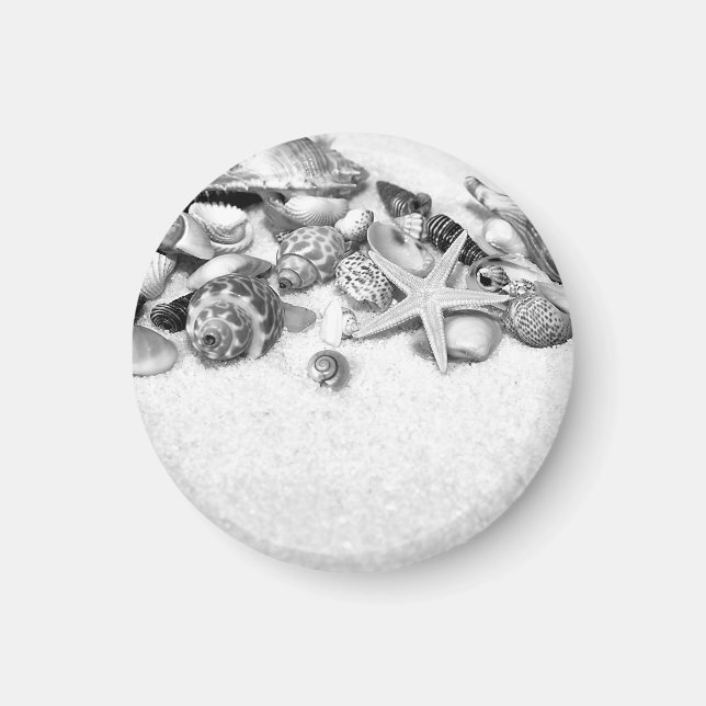 Imán Mimbre de conchas y Starfish (Frente)