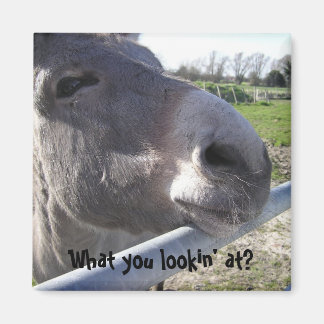 Imán Mimbre de Donkey