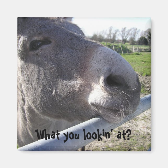 Imán Mimbre de Donkey (Frente)