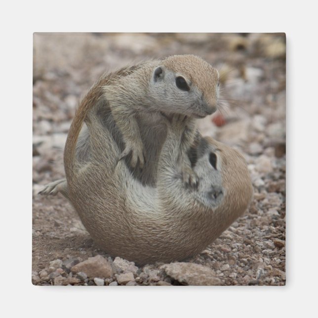 Imán Mimbre de esquirlas (Frente)