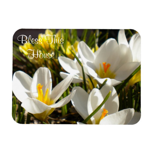Imán Mimbre de Spring Crocus "Bendice esta casa" (Horizontal)