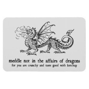 Imán Mimbre Dragon
