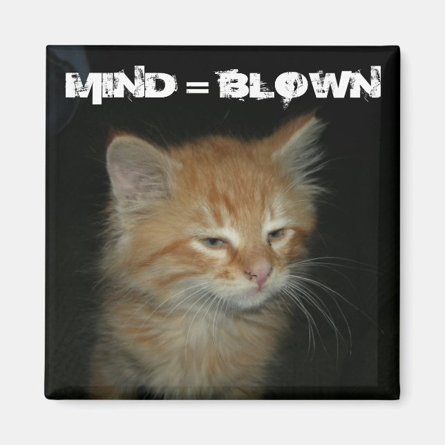 Imán Mimbre Kitty "MIND = BLOWN" (Frente)