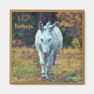 Imán Mimet Donkey 01