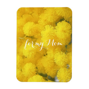 Imán Mimosa. Flores amarillas