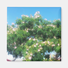 Imán Mimosa Tree Magnet