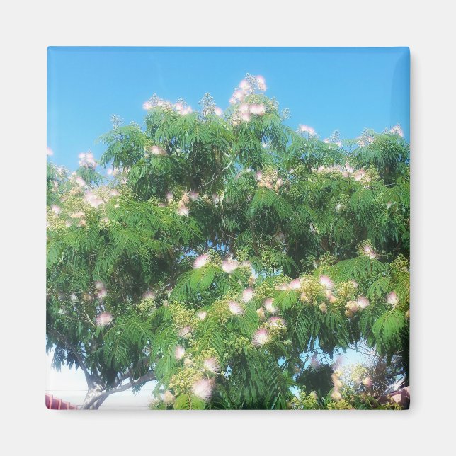 Imán Mimosa Tree Magnet (Frente)